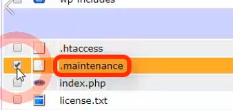 ★「.maintenance」（ファイル）の左にある四角□にチェックを入れます。